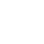 VEHICLE DYNAMICS